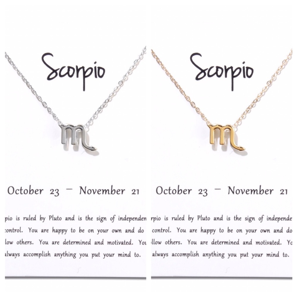 Scorpio ♏️ Zodiac Sign Necklace